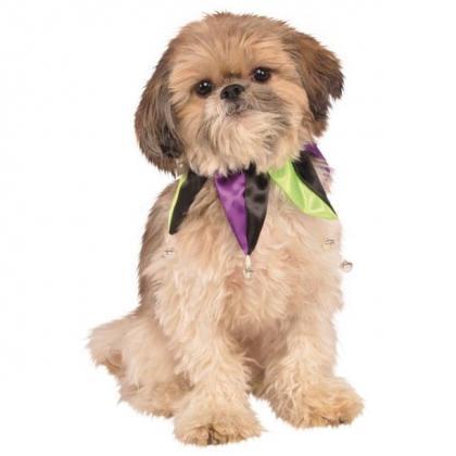 Mardi Gras Pet Jester Collar Or Tutu Skirt For Dog..