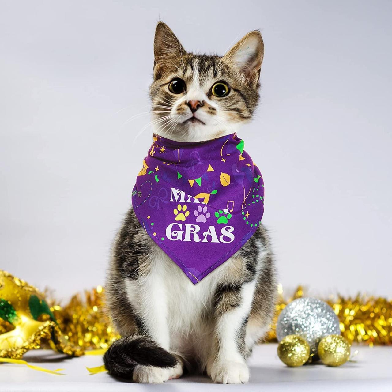 Mardi Gras Fleur De Lis Pet Bandana Purple Cat Pet Bead Hound Dog Parade Costume Fat Tuesday