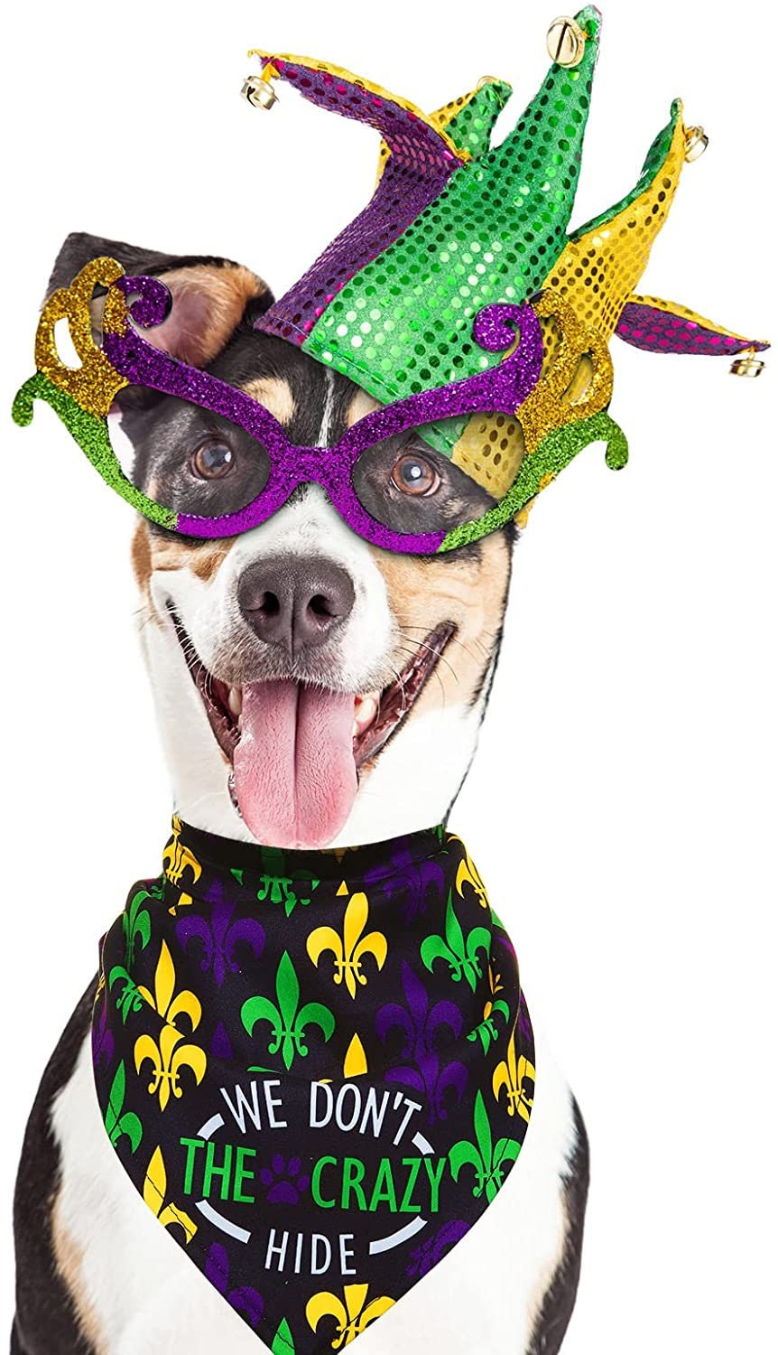 Mardi Gras Fleur De Lis Pet Bandana We Don't Hide Crazy Cat Pet Bead Hound Dog Parade Costume Fat Tuesday