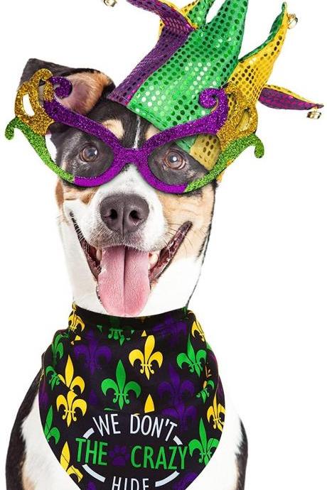 Mardi Gras Fleur De Lis Pet Bandana We Don&amp;#039;t Hide Crazy Cat Pet Bead Hound Dog Parade Costume Fat Tuesday